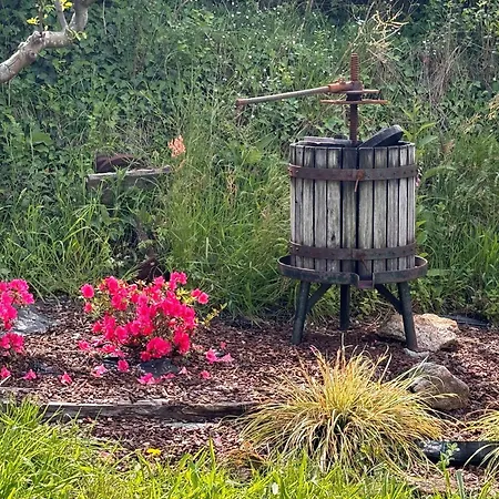 別荘 Cachada Turhouse