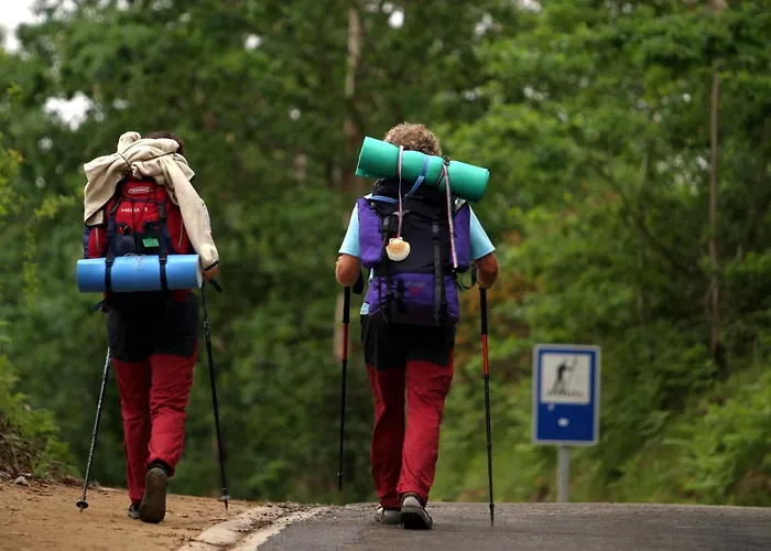 Cachada Turhouse * モス