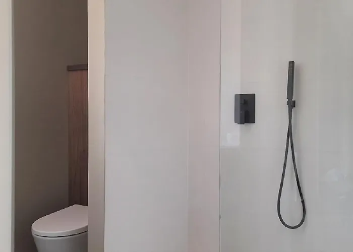 Cachada Turhouse モス